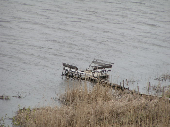 PICT0068_resize.jpg