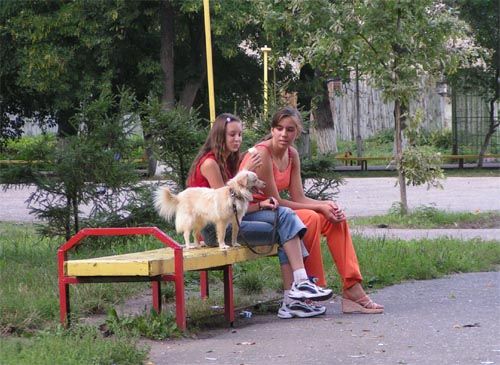 normal_pic_dz_3_21.jpg