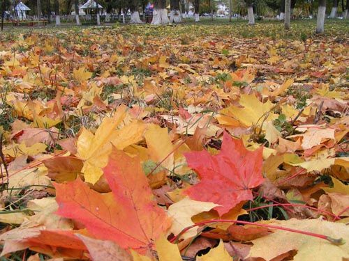 normal_pic_m_0410_20.jpg