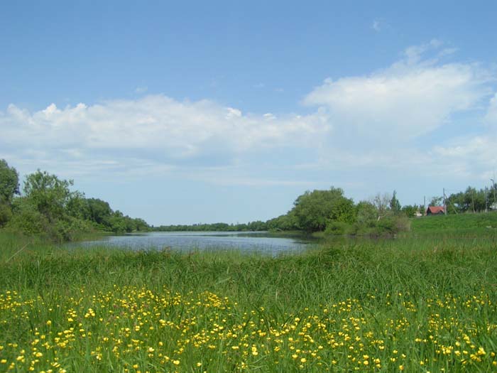 Моршанск Стелла