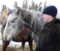 horse