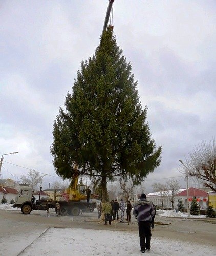 ��������. ���������� ���.