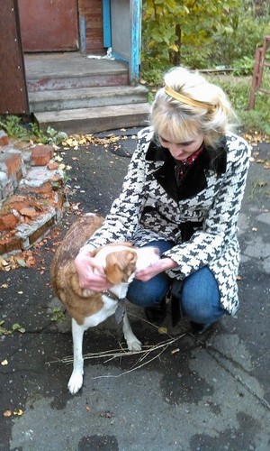 ������ ����