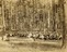 Моршанск. Военный лагерь. (1908 г.)