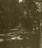 Моршанск. Городское кладбище. Главная аллея. (31.05.1932)